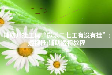 辅助开挂工具“微乐二七王有没有挂”(透视挂)辅助透视教程