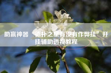 助赢神器“德扑之星有没有作弊挂”开挂辅助透视教程