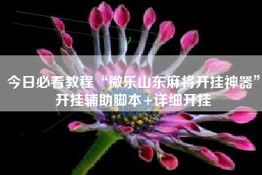 今日必看教程“微乐山东麻将开挂神器”开挂辅助脚本+详细开挂