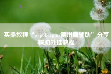 实操教程“wepokerplus德州局辅助	”分享辅助外挂教程