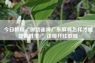 今日教程“微信雀神广东麻将怎样才能提高胜率?	”详细开挂教程