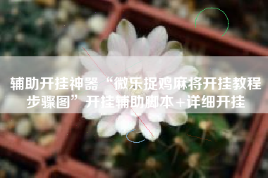 辅助开挂神器“微乐捉鸡麻将开挂教程步骤图	”开挂辅助脚本+详细开挂