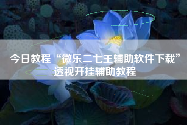 今日教程“微乐二七王辅助软件下载”透视开挂辅助教程