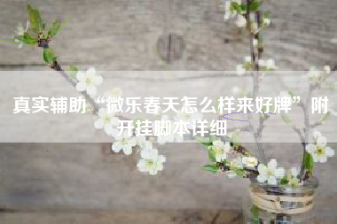 真实辅助“微乐春天怎么样来好牌	”附开挂脚本详细