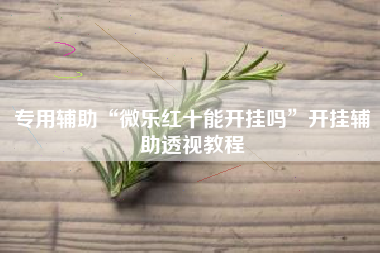 专用辅助“微乐红十能开挂吗”开挂辅助透视教程