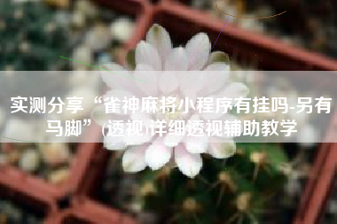 实测分享“雀神麻将小程序有挂吗-另有马脚”(透视)详细透视辅助教学