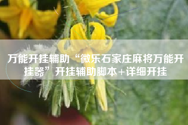 万能开挂辅助“微乐石家庄麻将万能开挂器”开挂辅助脚本+详细开挂