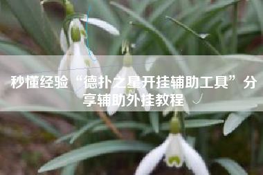 秒懂经验“德扑之星开挂辅助工具	”分享辅助外挂教程