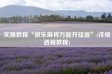 实操教程“微乐麻将万能开挂器”(详细透视教程)