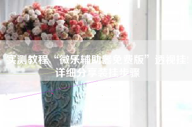 实测教程“微乐辅助器免费版	”透视挂!详细分享装挂步骤