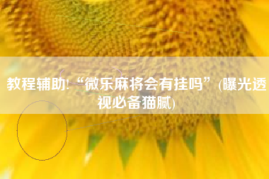 教程辅助!“微乐麻将会有挂吗	”(曝光透视必备猫腻)