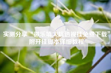 实测分享“微乐填大坑透视挂免费下载”附开挂脚本详细教程