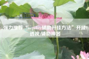 强力推荐“wepoker辅助开挂方法”开挂(透视)辅助神器