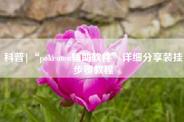科普|“pokemon辅助软件”详细分享装挂步骤教程