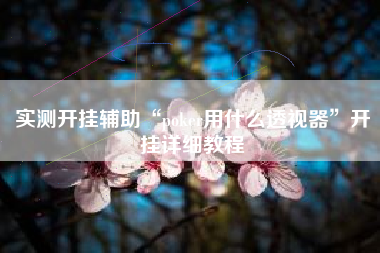 实测开挂辅助“poker用什么透视器	”开挂详细教程