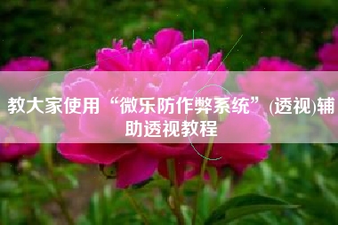 教大家使用“微乐防作弊系统”(透视)辅助透视教程