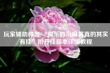 玩家辅助神器:“微乐四川麻将真的其实有挂”附开挂脚本详细教程