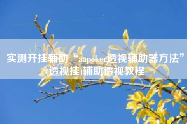 实测开挂辅助“aapoker透视辅助器方法”(透视挂)辅助透视教程