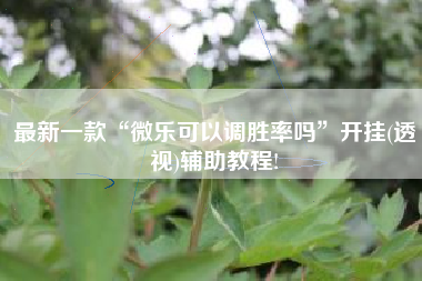 最新一款“微乐可以调胜率吗”开挂(透视)辅助教程!
