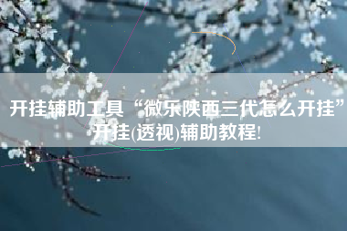 开挂辅助工具“微乐陕西三代怎么开挂	”开挂(透视)辅助教程!