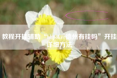 教程开挂辅助“hhpoker德州有挂吗	”开挂详细方法
