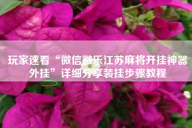 玩家速看“微信微乐江苏麻将开挂神器外挂	”详细分享装挂步骤教程