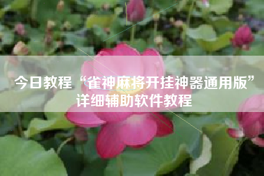 今日教程“雀神麻将开挂神器通用版	”详细辅助软件教程