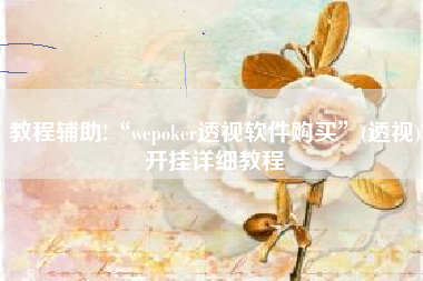 教程辅助!“wepoker透视软件购买”(透视)开挂详细教程