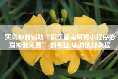 实测神器辅助“微乐湖南麻将小程序必赢神器免费”(透视挂)辅助透视教程