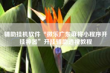 辅助挂机软件“微乐广东麻将小程序开挂神器	”开挂辅助透视教程