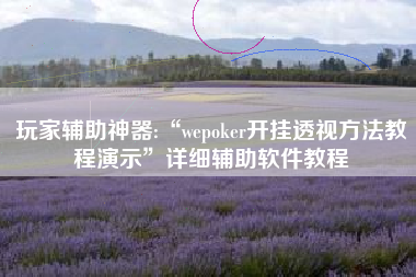 玩家辅助神器:“wepoker开挂透视方法教程演示”详细辅助软件教程