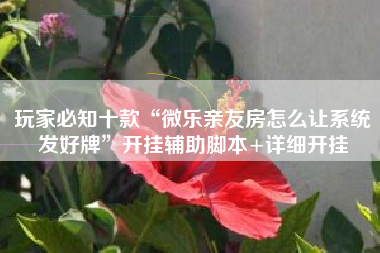 玩家必知十款“微乐亲友房怎么让系统发好牌”开挂辅助脚本+详细开挂