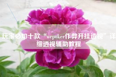 玩家必知十款“wepoker作弊开挂透视”详细透视辅助教程