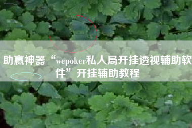 助赢神器“wepoker私人局开挂透视辅助软件	”开挂辅助教程