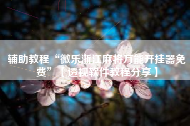 辅助教程“微乐浙江麻将万能开挂器免费	”【透视软件教程分享】