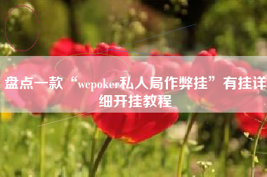盘点一款“wepoker私人局作弊挂”有挂详细开挂教程