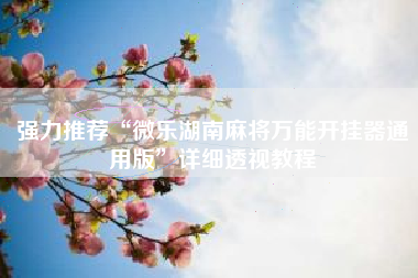 强力推荐“微乐湖南麻将万能开挂器通用版”详细透视教程