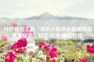 开挂辅助工具“微乐小程序必赢辅助器免费安装”开挂(透视)辅助教程!