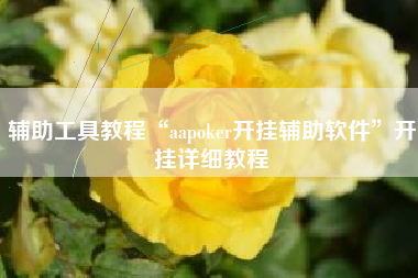 辅助工具教程“aapoker开挂辅助软件”开挂详细教程