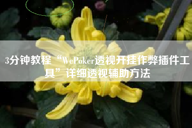 3分钟教程“WePoker透视开挂作弊插件工具”详细透视辅助方法