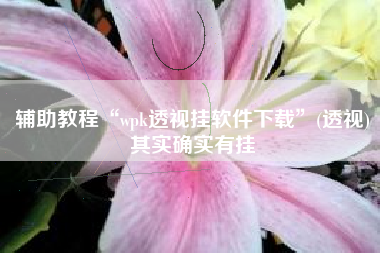 辅助教程“wpk透视挂软件下载”(透视)其实确实有挂