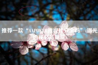 推荐一款“AAPOKER透视挂安全吗”(曝光透视必备猫腻)