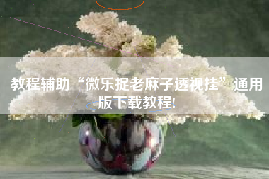 教程辅助“微乐捉老麻子透视挂	”通用版下载教程!