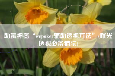 助赢神器“wepoker辅助透视方法”(曝光透视必备猫腻)