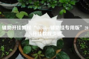 辅助开挂教程“hhpoker辅助挂专用版”2026开挂教程步骤