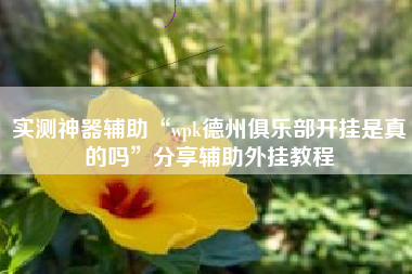 实测神器辅助“wpk德州俱乐部开挂是真的吗”分享辅助外挂教程
