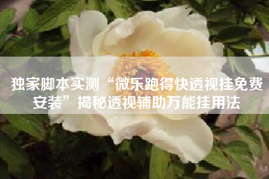 独家脚本实测“微乐跑得快透视挂免费安装	”揭秘透视辅助万能挂用法