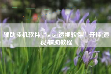 辅助挂机软件“poker透视软件”开挂(透视)辅助教程