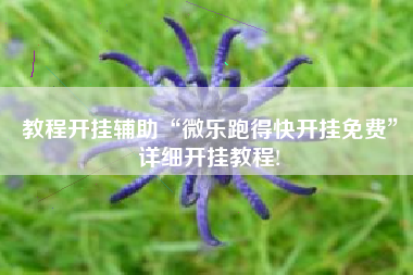 教程开挂辅助“微乐跑得快开挂免费”详细开挂教程!