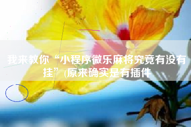 我来教你“小程序微乐麻将究竟有没有挂”(原来确实是有插件